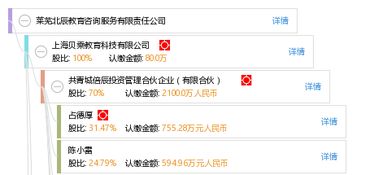 莱芜北辰教育咨询服务有限责任公司