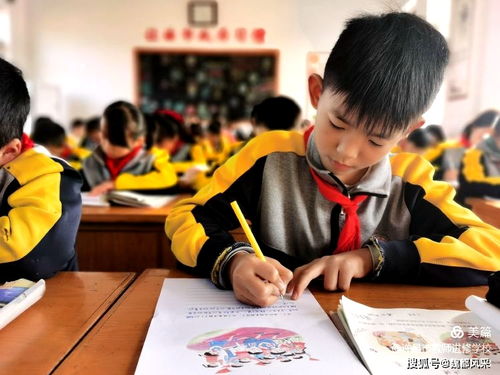 精品课堂凝智慧 集团送教硕果丰 许昌市魏都区教育专家人才志愿服务活动